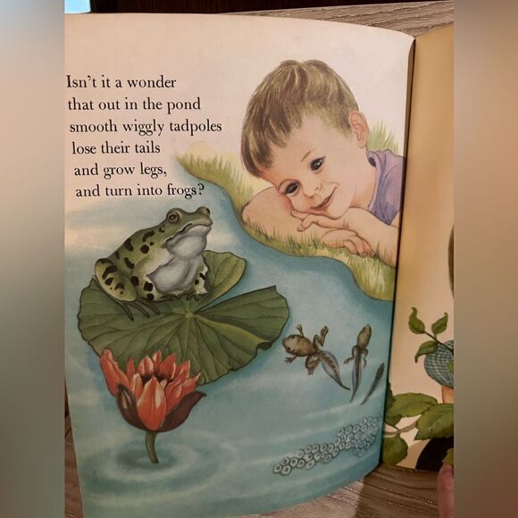 Wonders of Nature vintage kids book 1950s - Picture 3 of 5